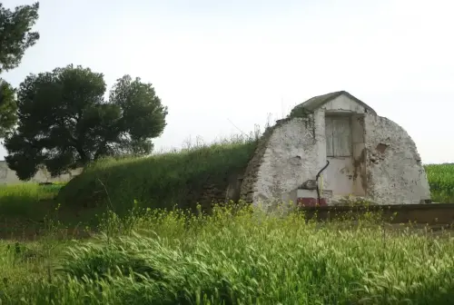 Aljibes-Albacete-Oran