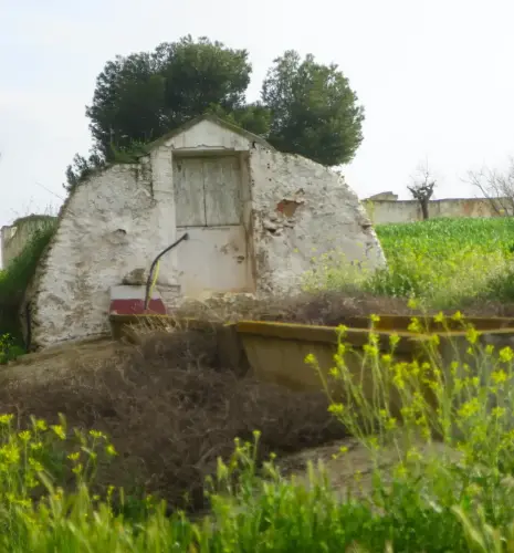 Aljibes-Albacete-Oran2