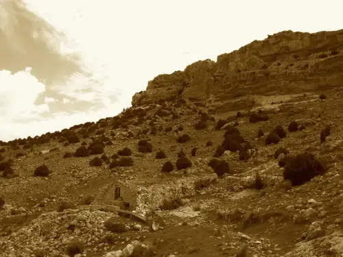 Aljibes-Alpera-Meca2