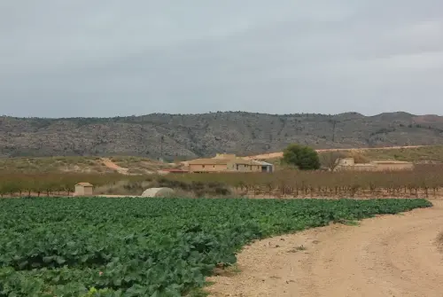 Aljibes-Hellin-Casa-de-La-Muerte2