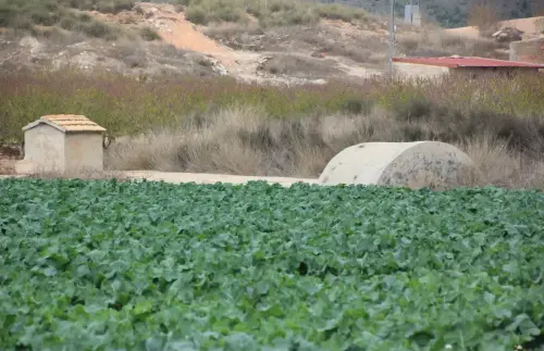 Aljibes-Hellin-Casa-de-La-Muerte3