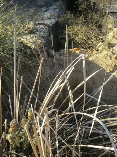 Aljibes-Hellin-por-la-Nava-de-don-Justo5