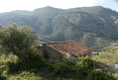 Almazaras-La-Graya-Yeste