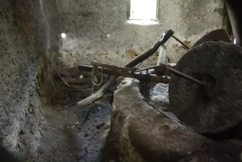 Almazaras-La-Graya-Yeste12