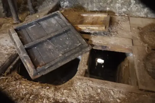 Almazaras-La-Graya-Yeste13