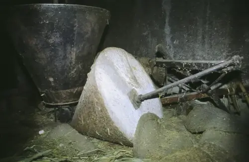 Almazaras-La-Graya-Yeste2