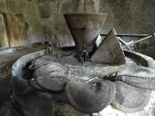 Almazaras-La-Graya-Yeste3