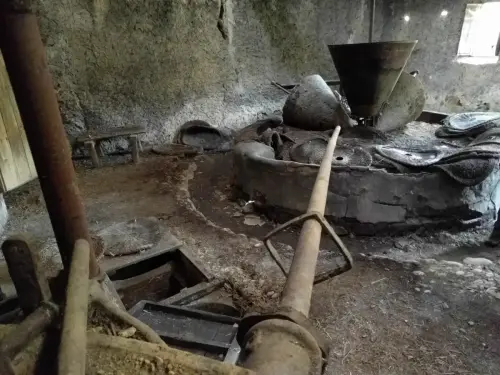 Almazaras-La-Graya-Yeste5