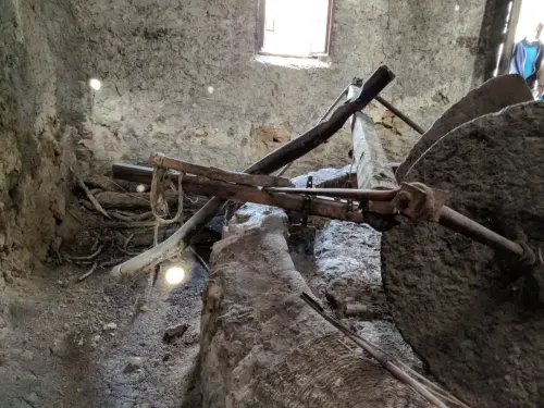 Almazaras-La-Graya-Yeste6