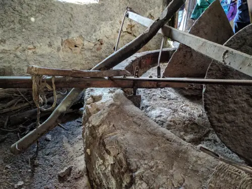 Almazaras-La-Graya-Yeste7