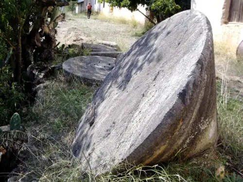 Almazaras-Los-Carriles-Yeste1