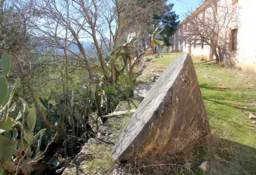 Almazaras-Los-Carriles-Yeste10