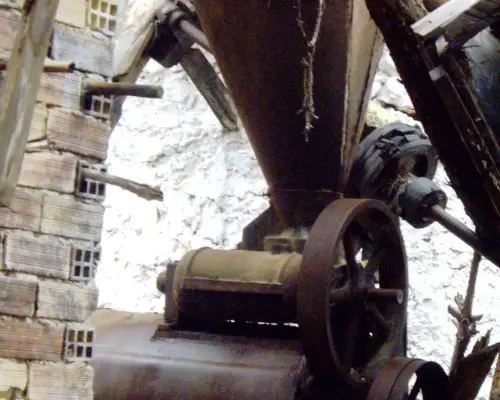 Almazaras-Los-Carriles-Yeste12