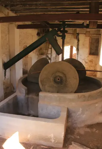 Almazaras-Los-Carriles-Yeste3