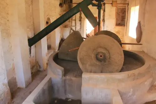 Almazaras-Los-Carriles-Yeste4