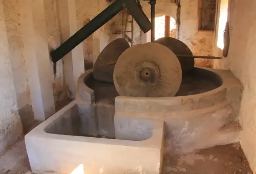 Almazaras-Los-Carriles-Yeste5