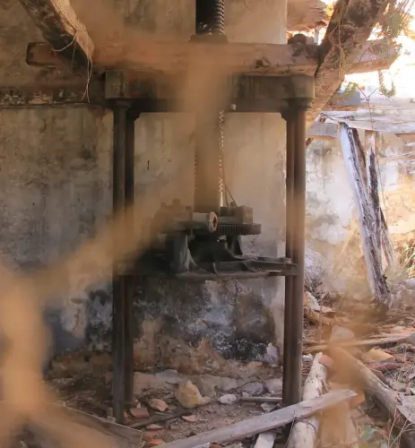 Almazaras-Los-Carriles-Yeste8