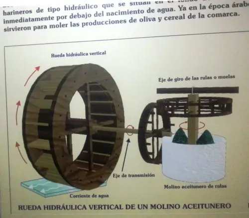z-Almazaras-Molino-de-aceite
