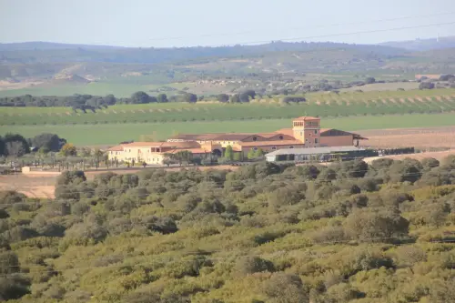 Bodegas-Los-Aljibes-Chinchilla