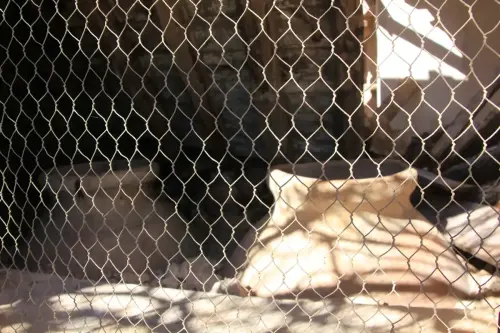 Bodegas-Los-Carriles-Yeste6