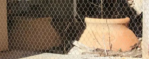 Bodegas-Los-Carriles-Yeste7