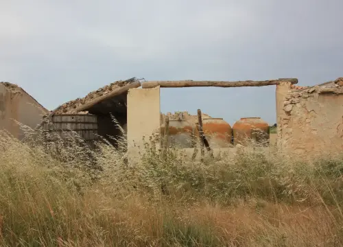 Bodegas-Mayorazgo-de-Manga-Hellin