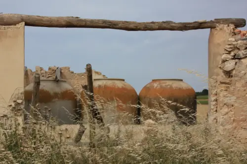 Bodegas-Mayorazgo-de-Manga-Hellin2