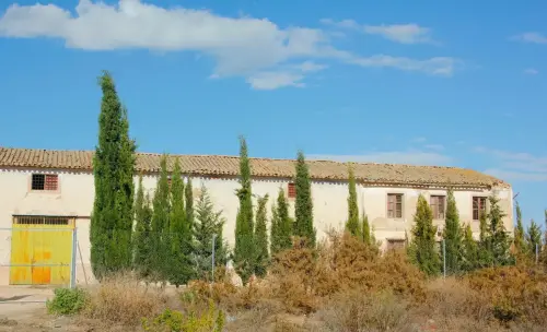 Bodegas-R.Izquierdo-Hellin