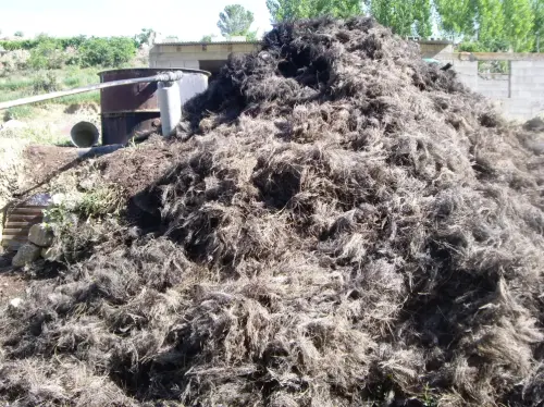 Destilacion-de-aromaticas-Los-Charcones-Letur1