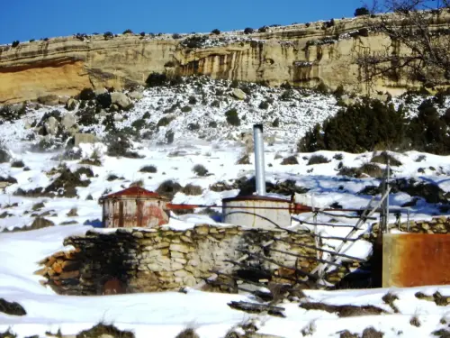 Calderas Aromáticas