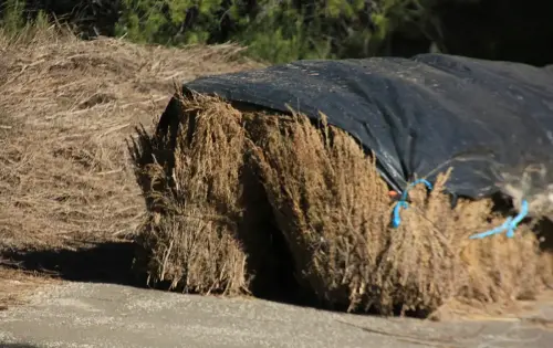 Destilacion-de-aromaticas2a