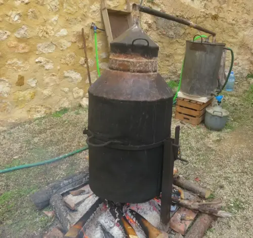 Destilacion-de-orujo4