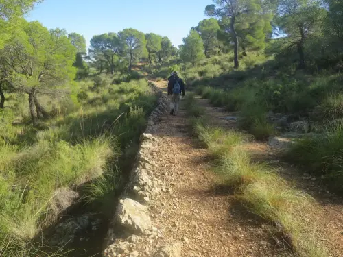 Caminos-herradura-Albacete-Charco-de-la-Quebrada