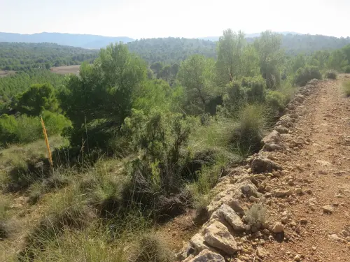 Caminos-herradura-Albacete-Charco-de-la-Quebrada2