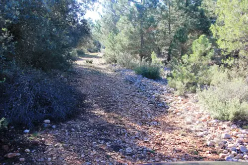 Caminos-herradura-Alcadozo
