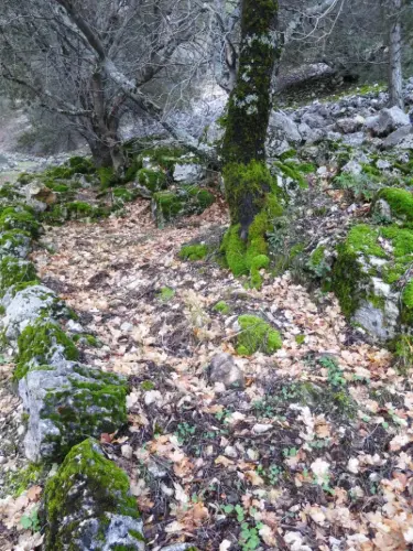 Caminos-herradura-Biensevida