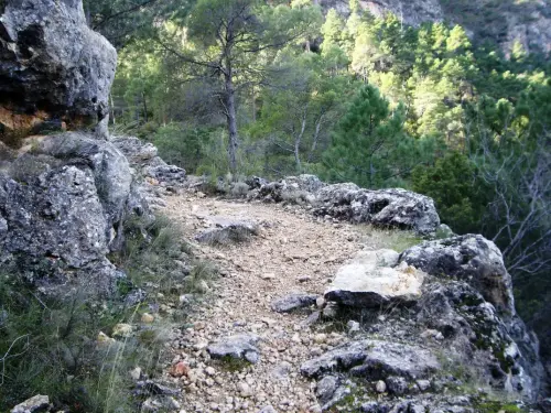 Caminos-herradura-Bogarra