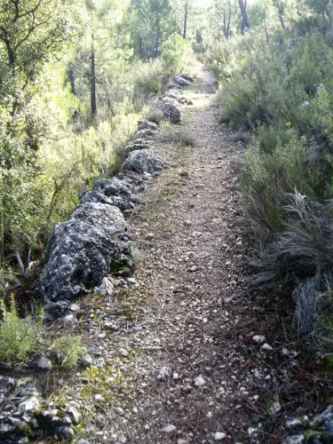 Caminos-herradura-Bogarra3