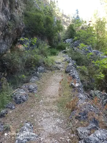 Caminos-herradura-Bogarra4