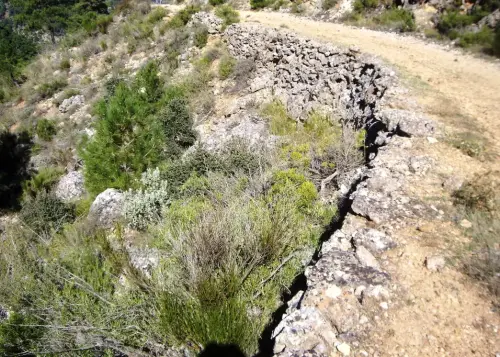 Caminos-herradura-Elche-de-la-Sierra