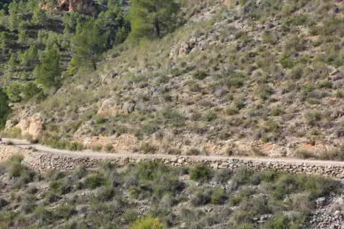 Caminos-herradura-Elche-de-la-Sierra2