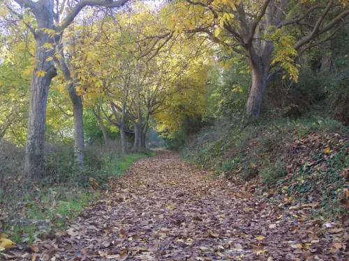Caminos-herradura-Jorquera