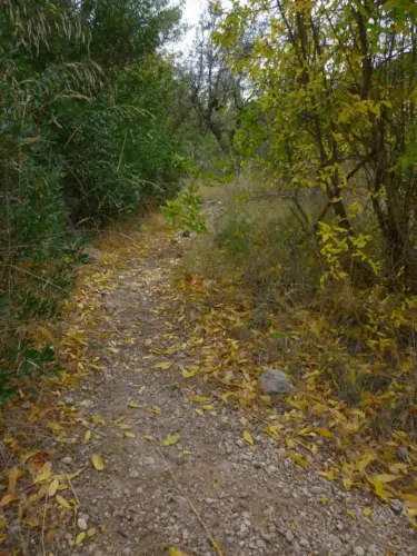 Caminos-herradura-Jorquera2