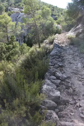 Caminos-herradura-Letur2