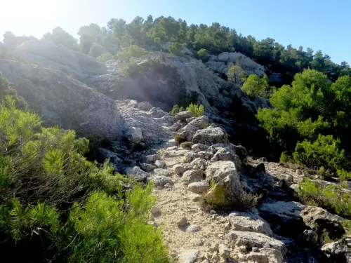 Caminos-herradura-Letur3