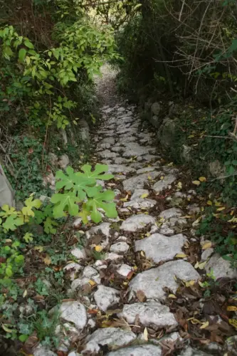 Caminos-herradura-Letur4