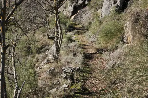 Caminos-herradura-Lietor