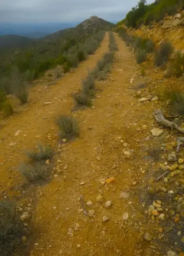 Caminos-herradura-LietorEl-Porron