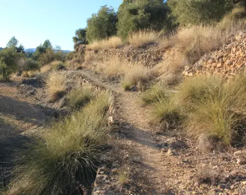 Caminos-herradura-Molinicos-Las-Hermanas