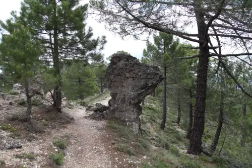 Caminos-herradura-Molinicos2